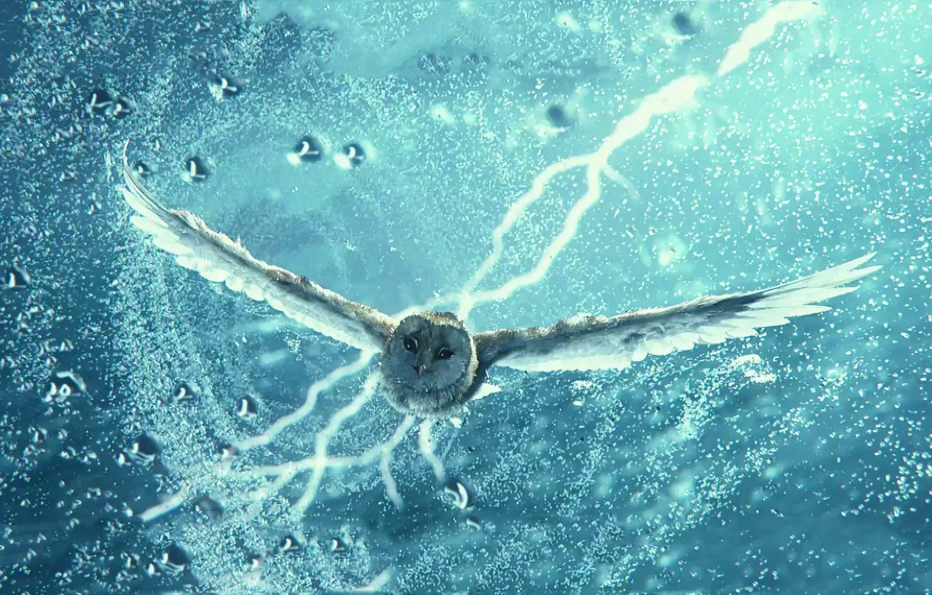 Photo wallpaper the storm, owl, lightning, cartoon, Legend Of The Guardians