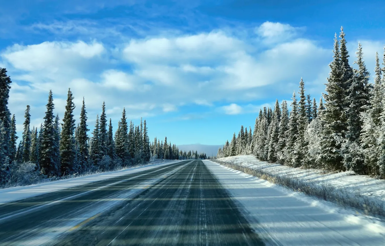 Photo wallpaper winter, road, the sky, snow, trees, morning, ate, sky