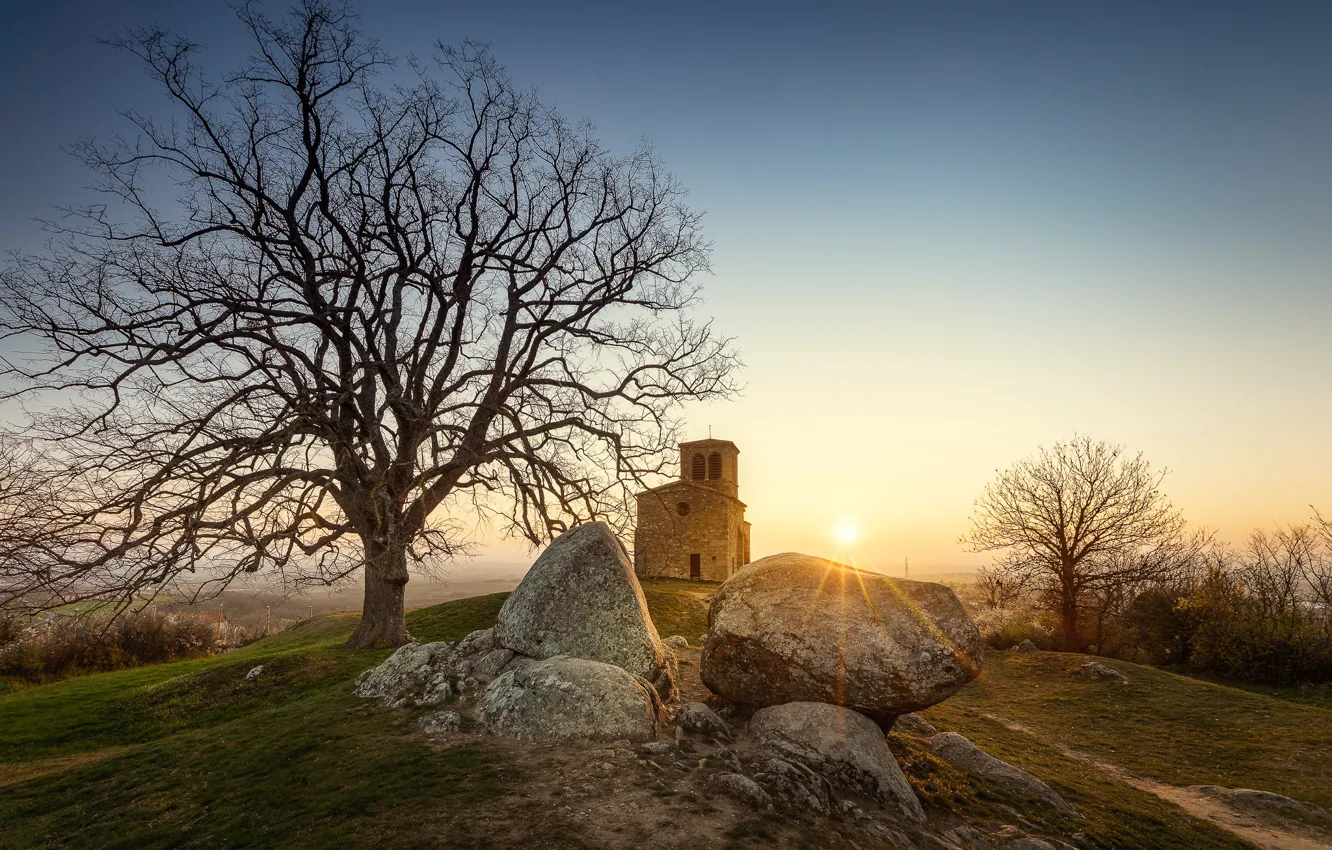 Photo wallpaper trees, dawn, France, morning, France, Saint-Laurent-d Anja's