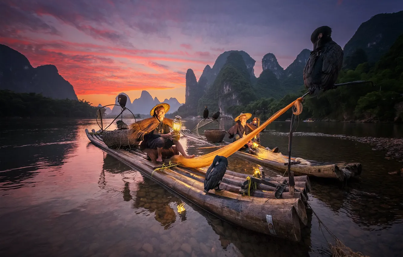 Photo wallpaper bird, boat, fisherman, China, cormorant, Guangxi