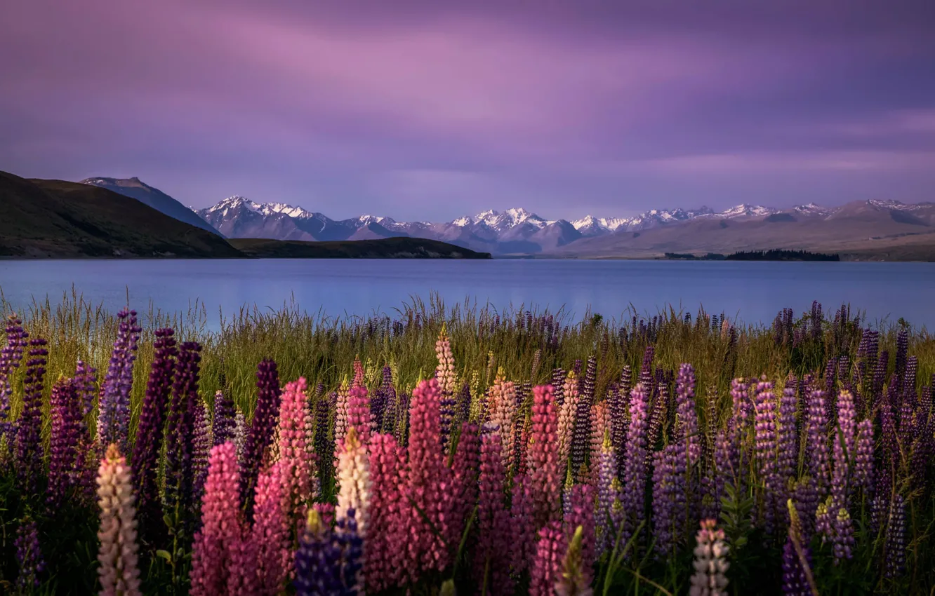 Photo wallpaper field, summer, clouds, flowers, mountains, lake, hills, shore