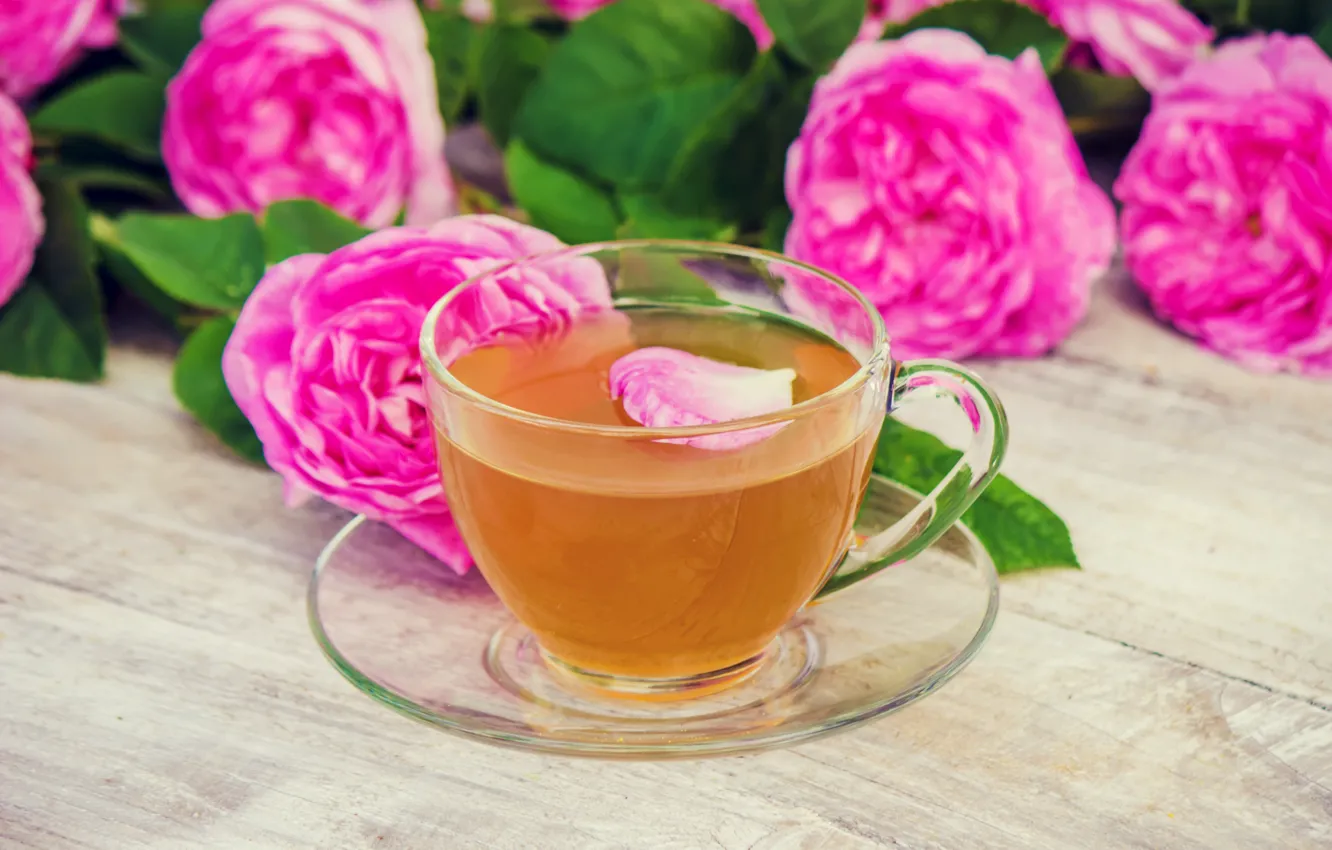 Photo wallpaper flowers, roses, petals, pink, wood, pink, flowers, cup