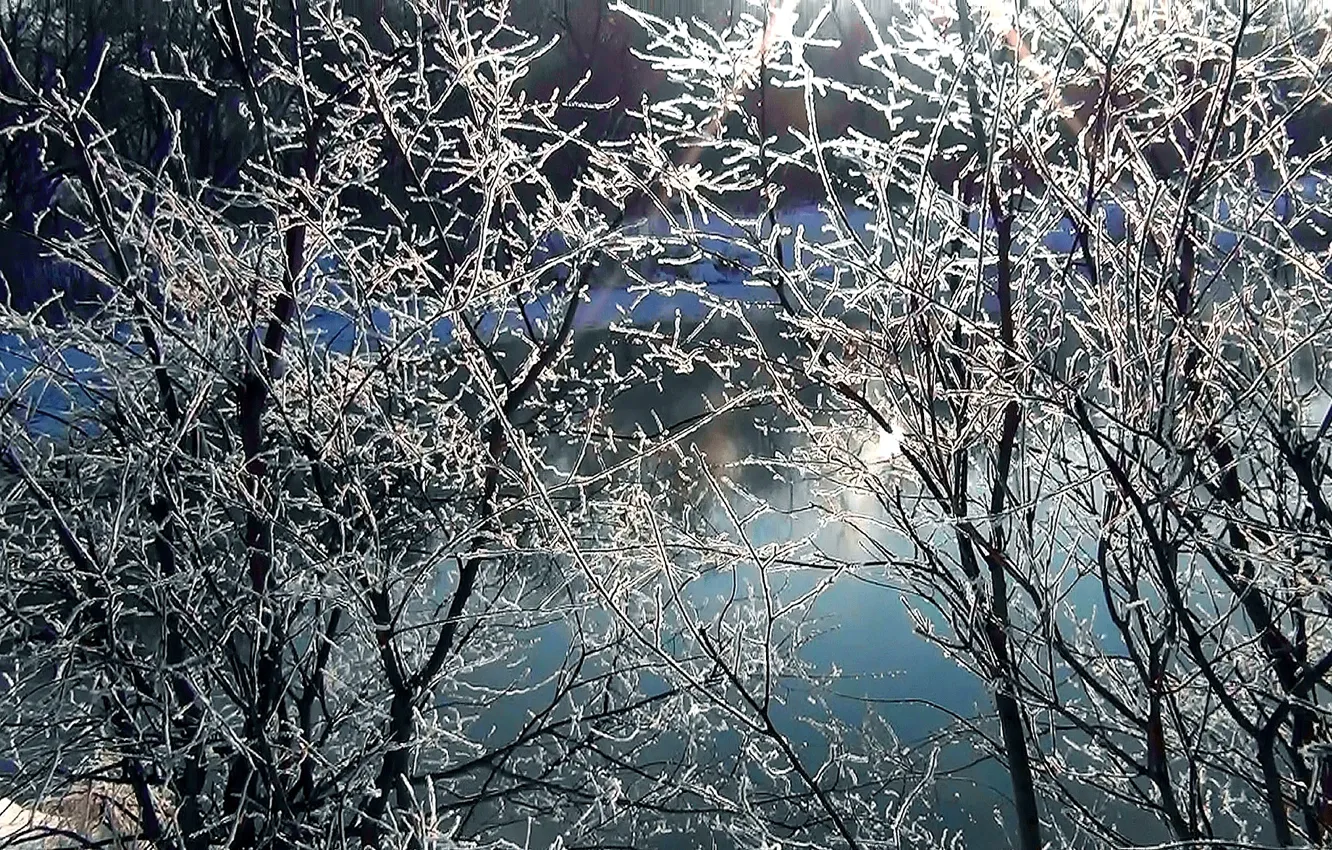 Photo wallpaper winter, the sun, rays, river, background, Wallpaper, texture, Siberia