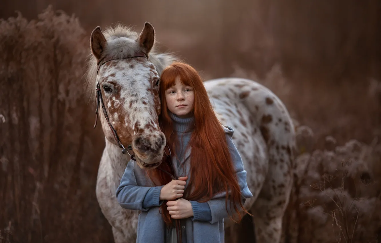 Photo wallpaper horse, girl, freckles, Arma Gray