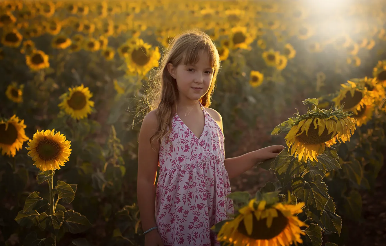 Photo wallpaper summer, sunflowers, girl