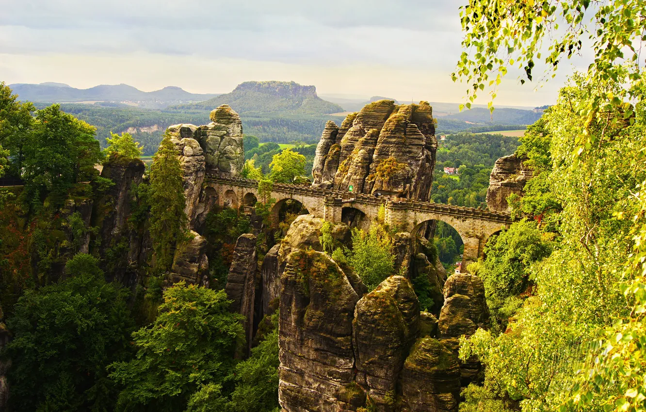 Photo wallpaper trees, bridge, Park, stones, rocks, height, Germany, Saxon Switzerland National Park
