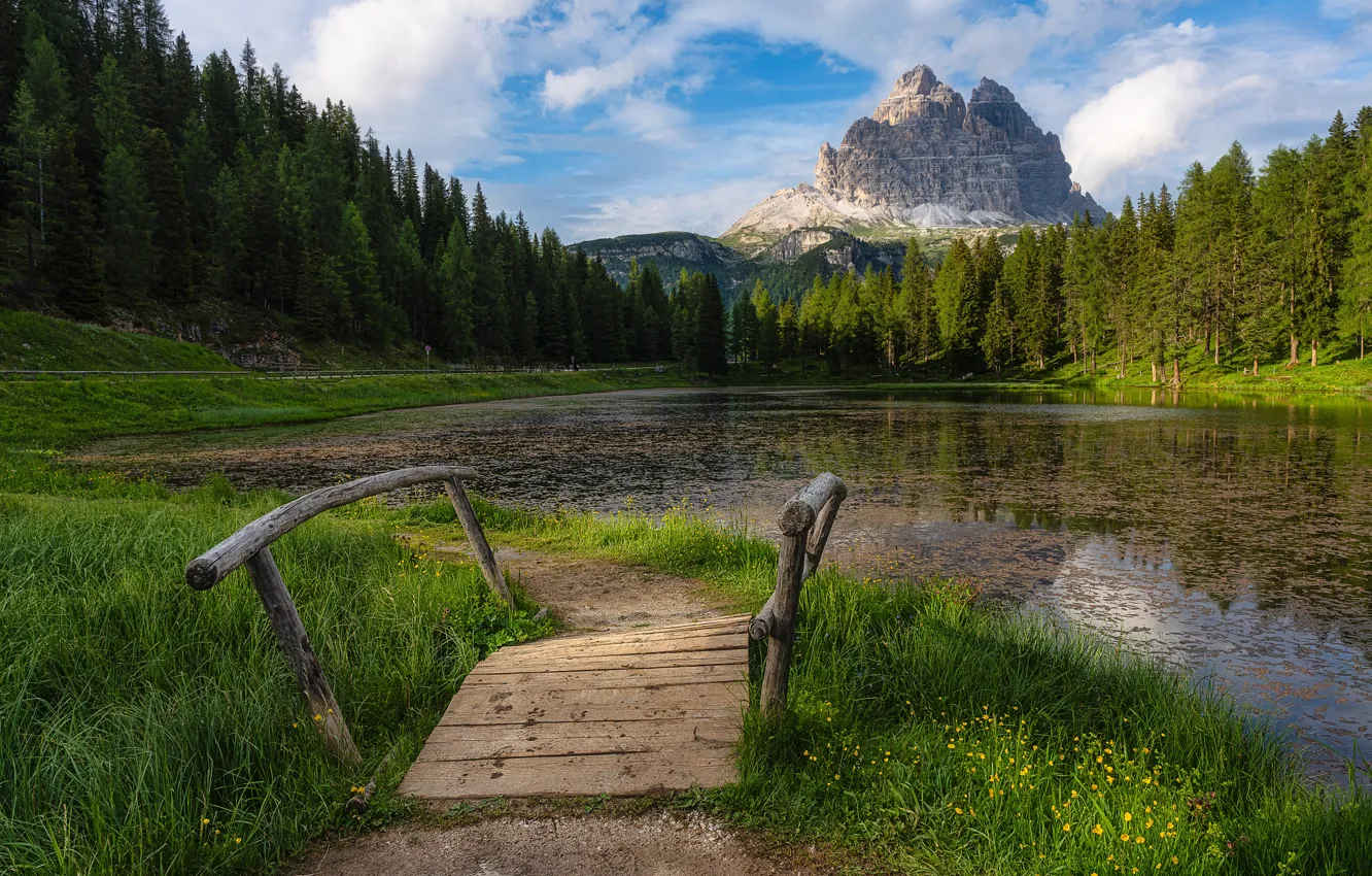 Photo wallpaper forest, grass, mountains, lake, shore, the bridge, pond