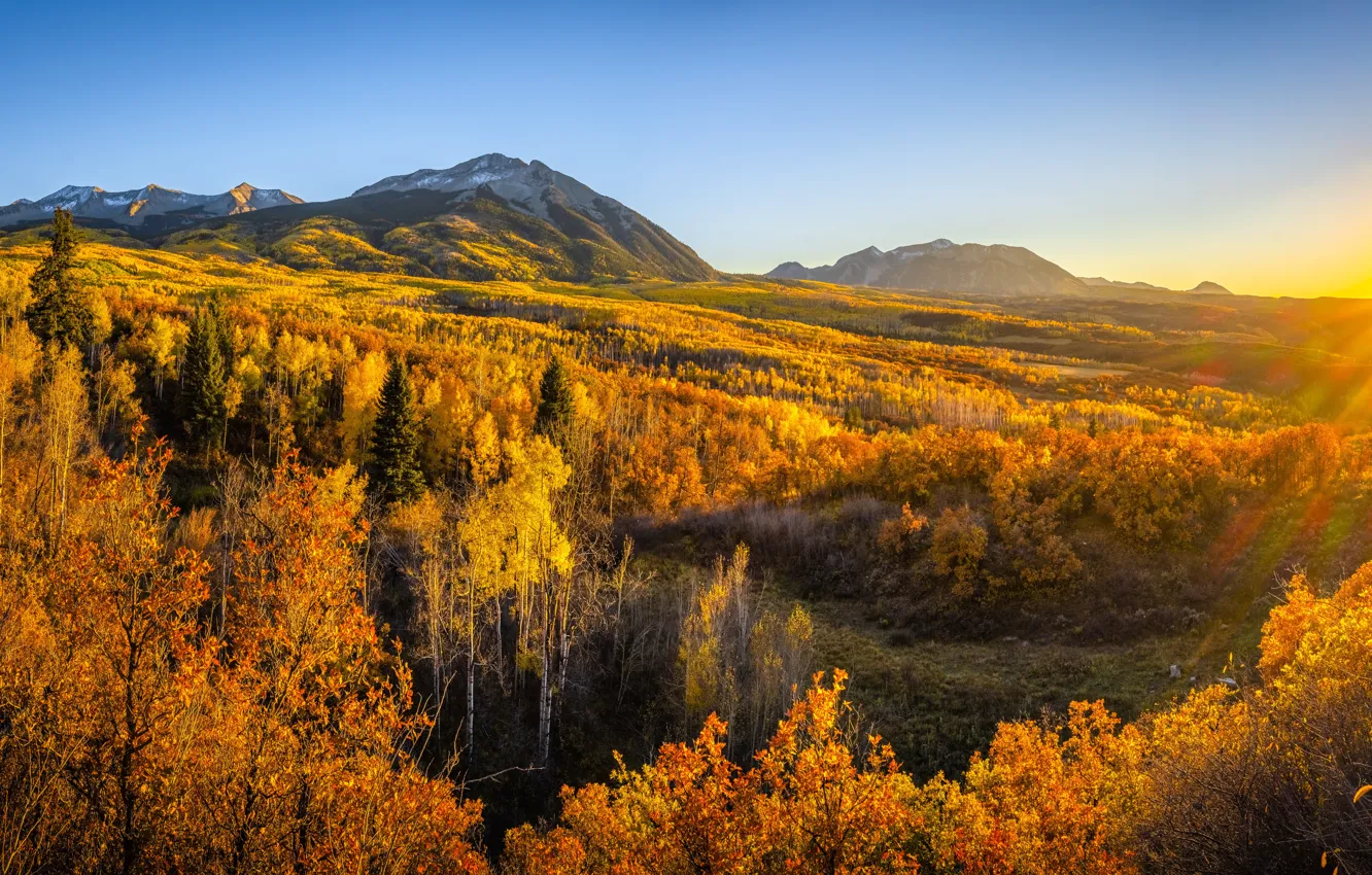 Photo wallpaper autumn, forest, the sky, the sun, mountains, view
