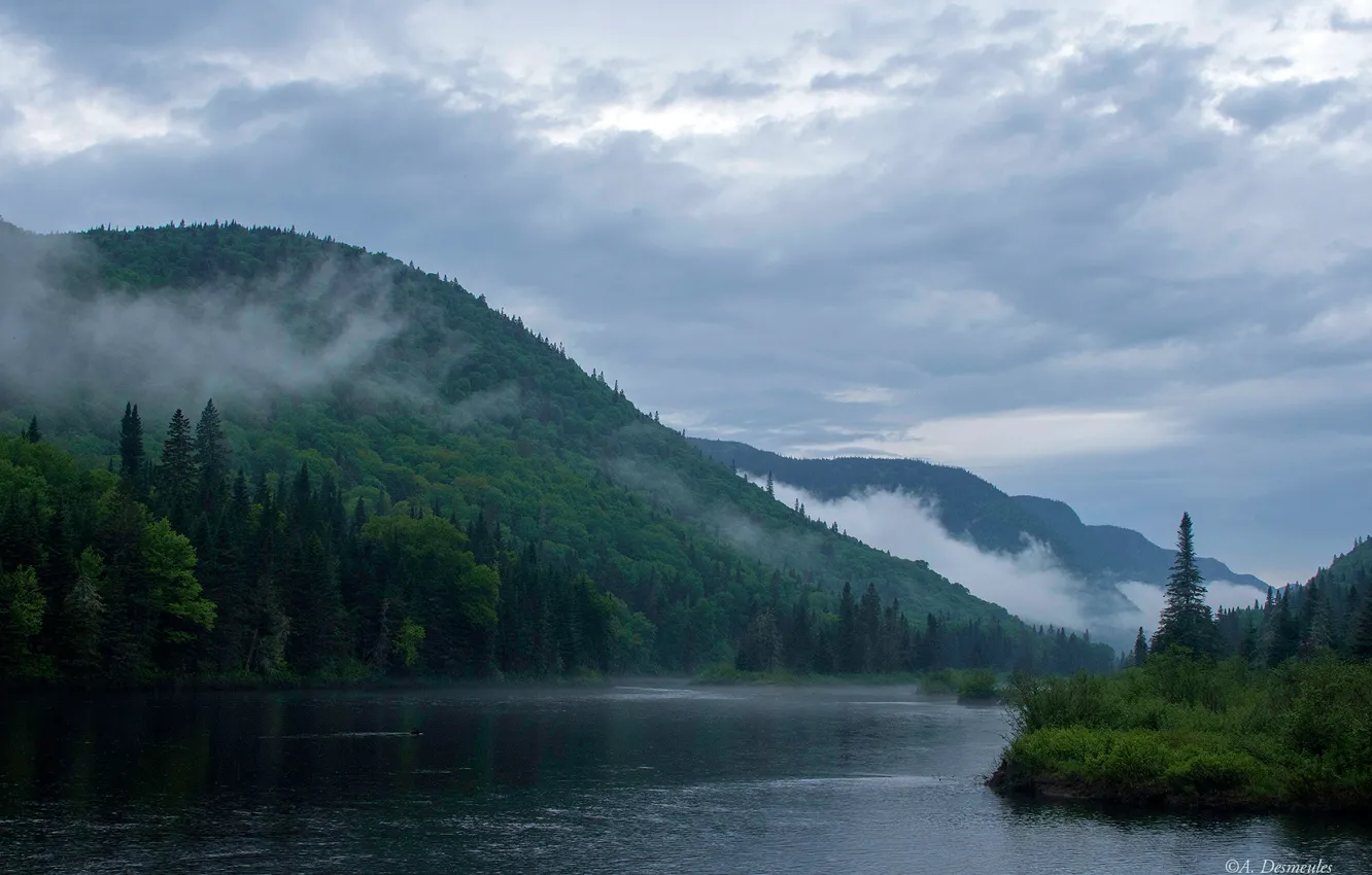 Photo wallpaper forest, clouds, trees, mountains, fog, river, Canada, Jacques-Cartier National Park