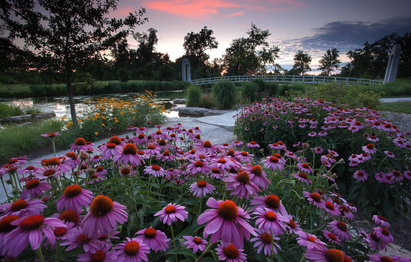 Photo wallpaper flowers, bridge, stones, pink, the bridge, flowerbed, promenade, pond