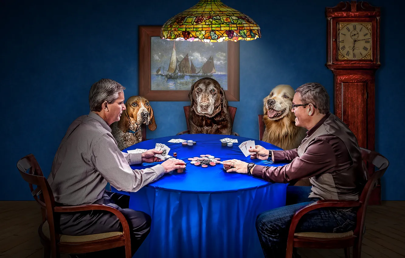 Photo wallpaper dogs, card, the game, watch, chips, poker, men