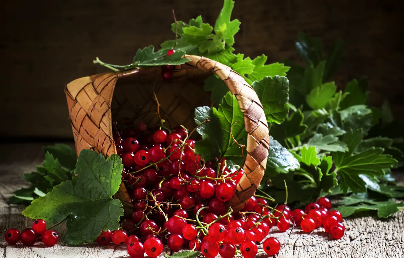 Photo wallpaper greens, leaves, light, red, berries, Board, harvest, still life