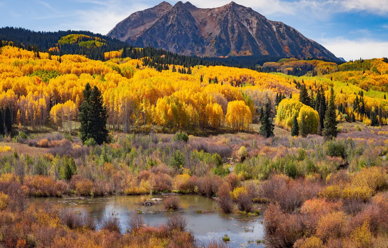 Photo wallpaper autumn, forest, mountains, shore, view, swamp, slope, pond