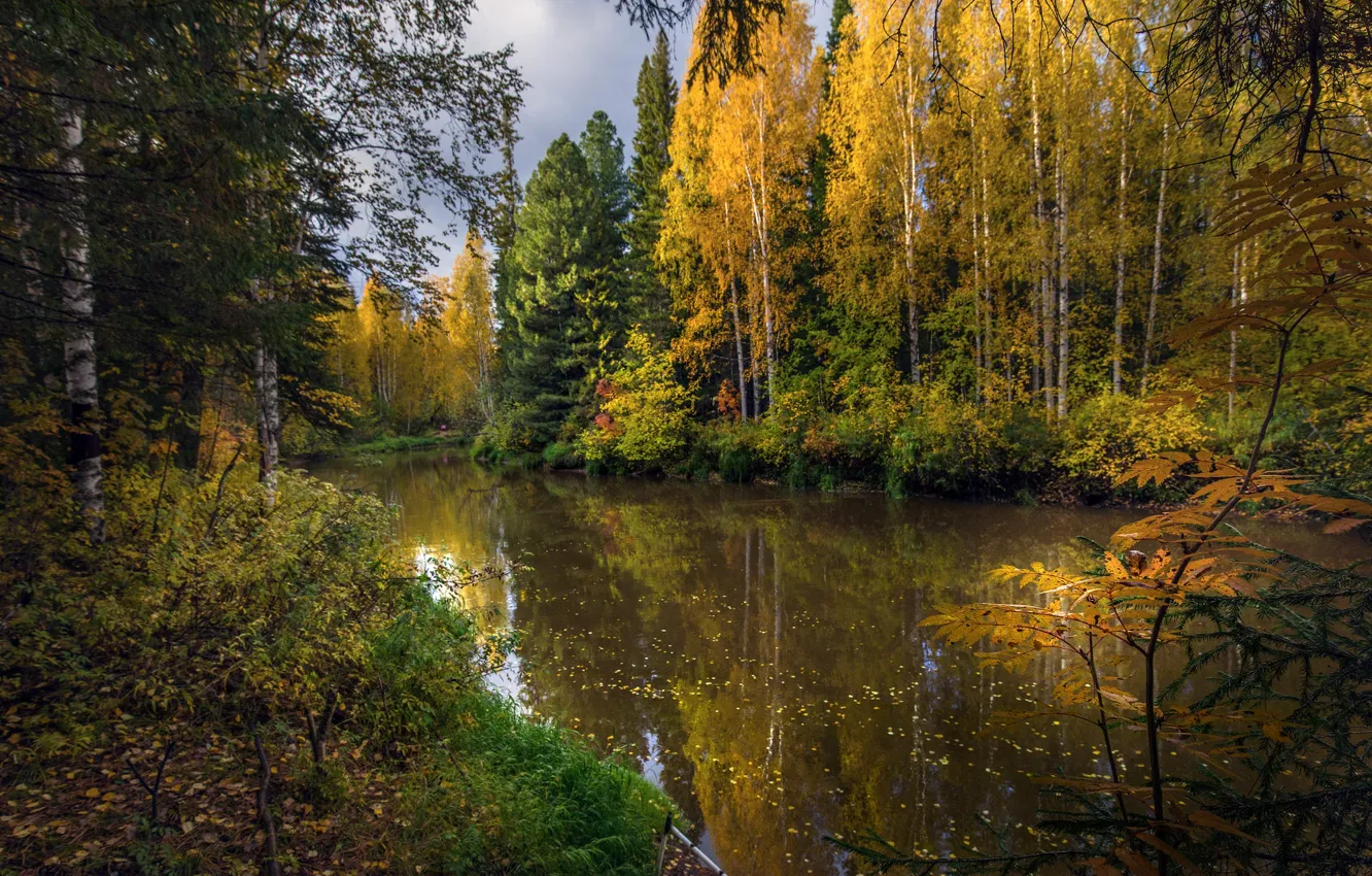 Photo wallpaper autumn, forest, landscape, nature, reflection, river