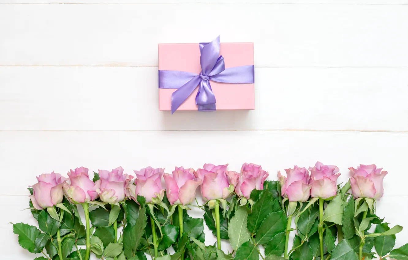Photo wallpaper white, background, gift, roses, tape