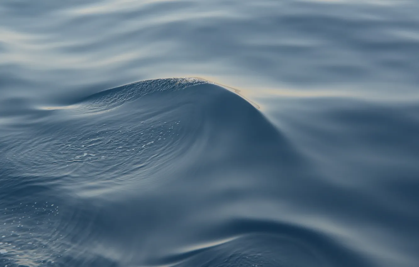 Photo wallpaper wave, water, the excitement