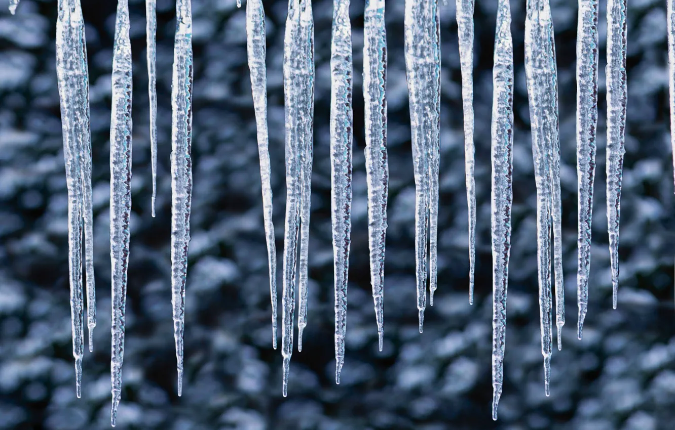 Photo wallpaper drops, Winter, icicles