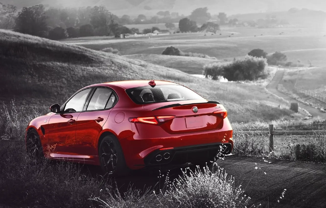 Photo wallpaper Alfa Romeo, Four-leaf clover, Giulia