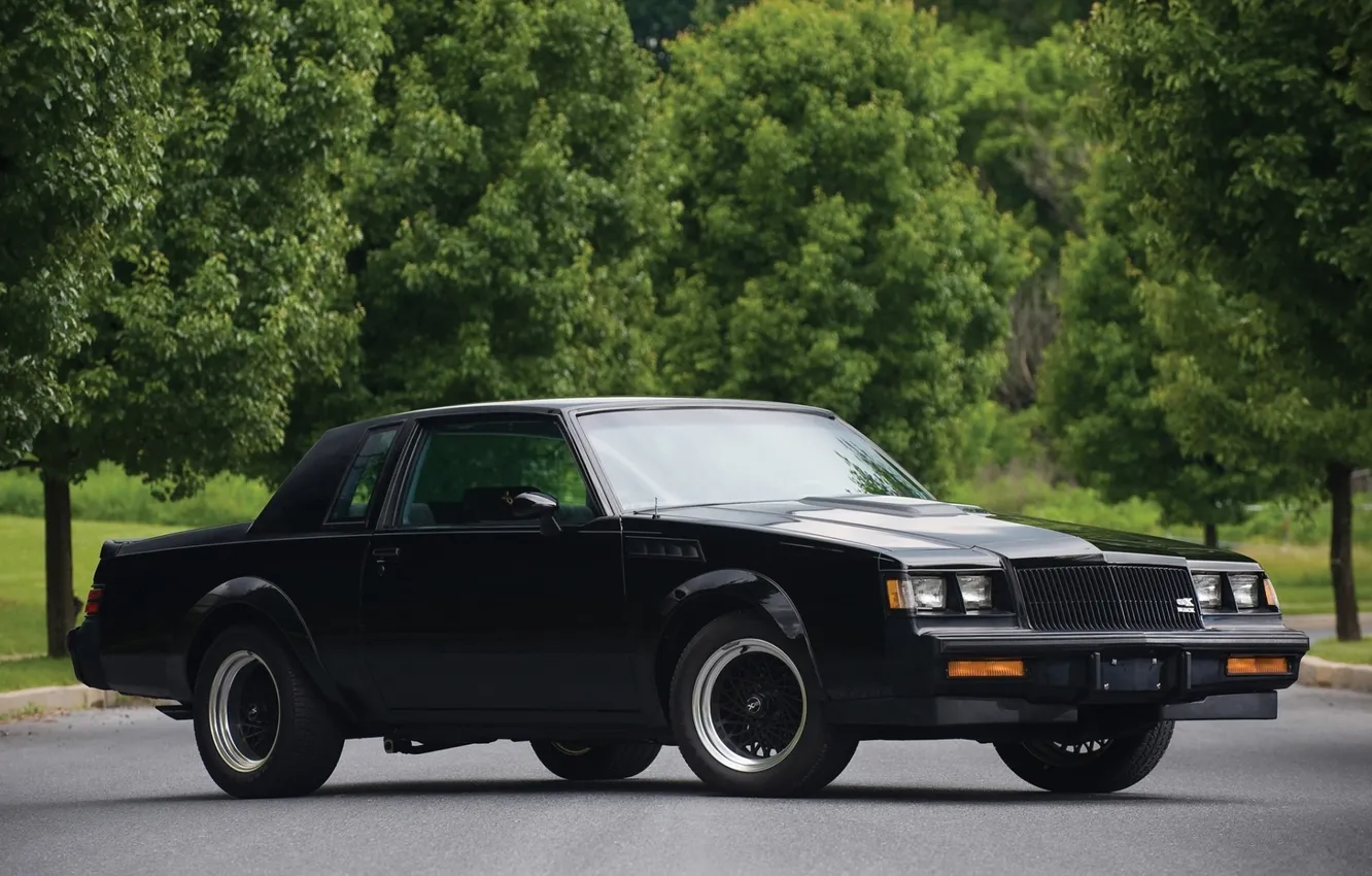 Photo wallpaper trees, black, Buick, alley, the front, Buick, 1987, Grand Neyshnl