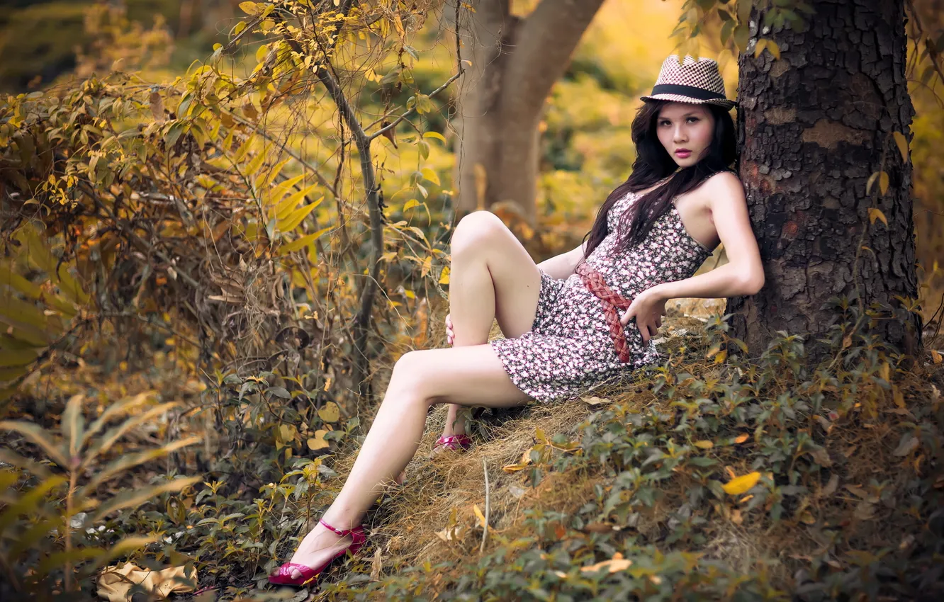 Photo wallpaper look, girl, Asian