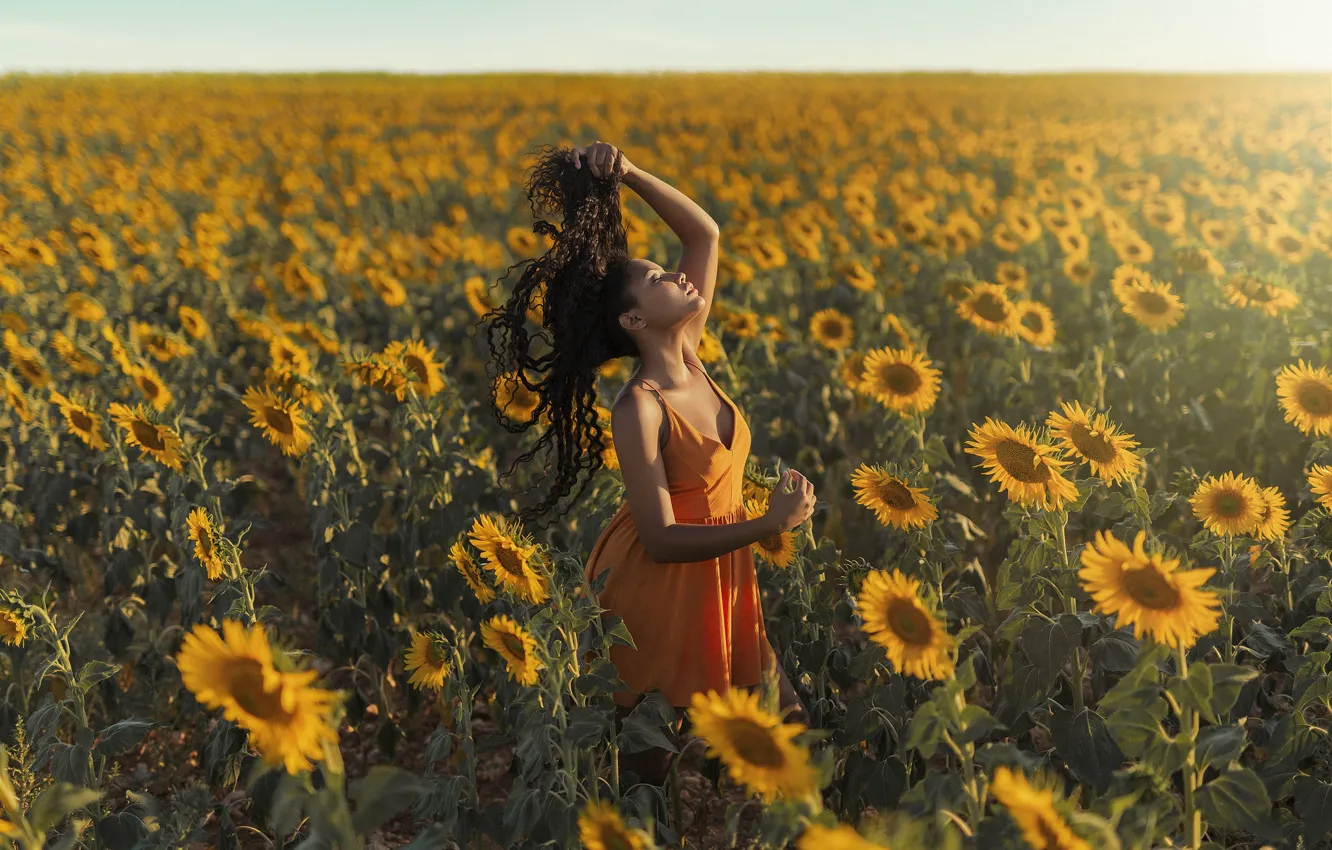 Photo wallpaper field, girl, sunflowers, walk