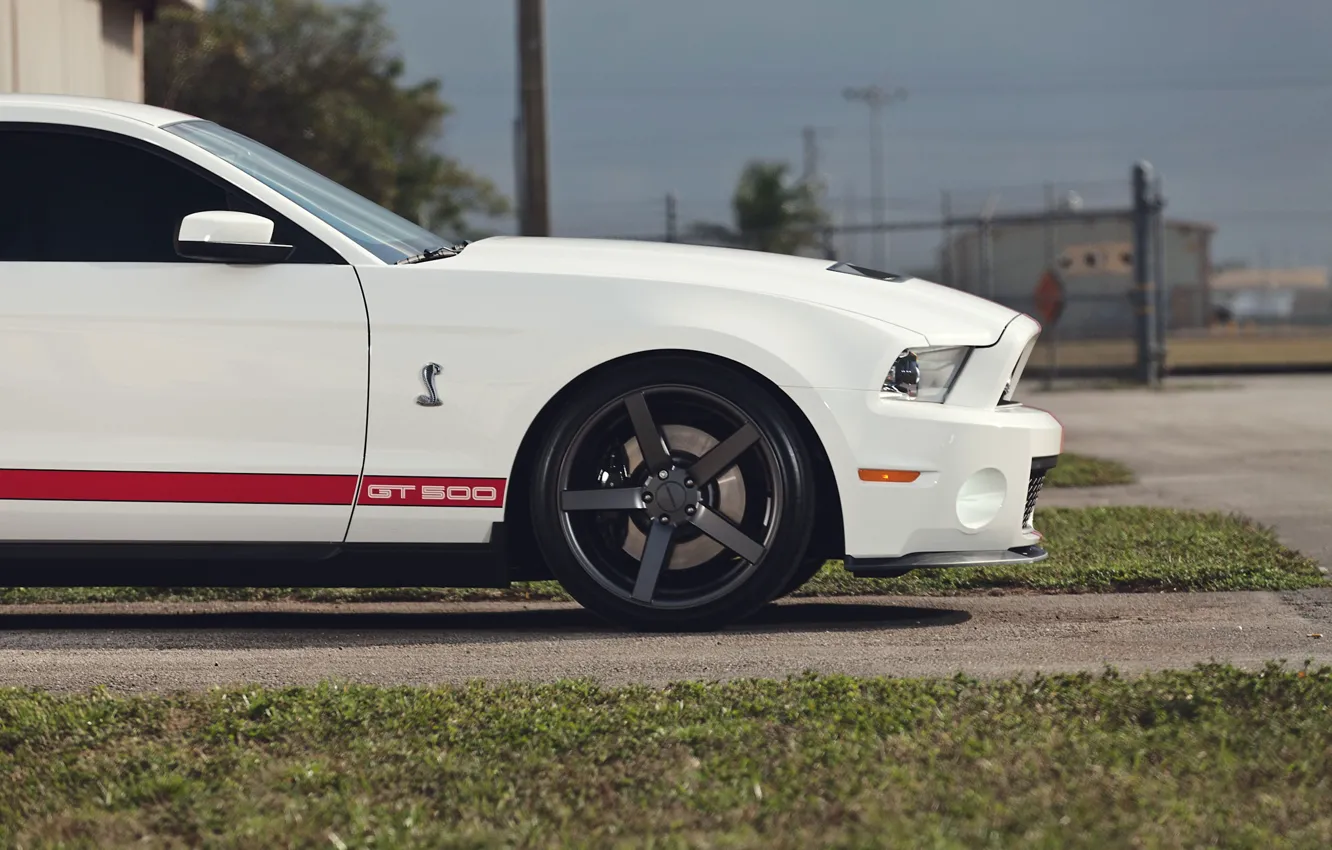 Photo wallpaper road, white, grass, Mustang, Ford, Shelby, Mustang, muscle car