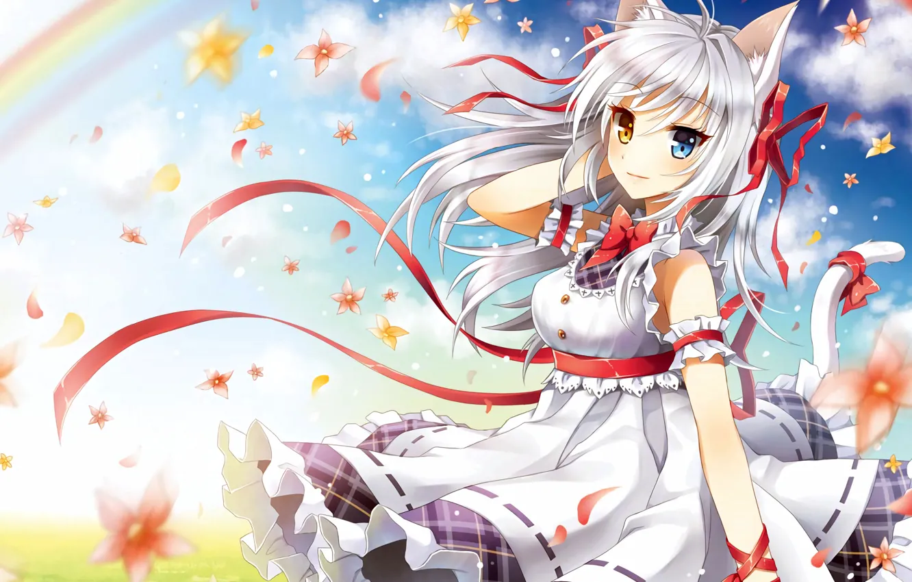 Photo wallpaper heterocromia, silver hair, anime, animal ears, attractive, dress, handsome, cat ears