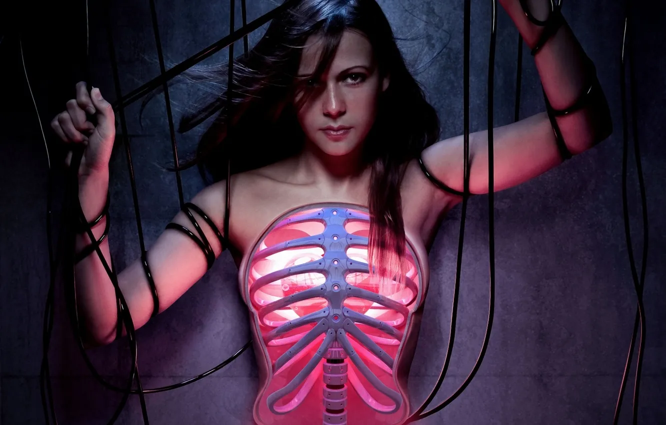 Photo wallpaper cell, The SPINE, devonka, wire.breast