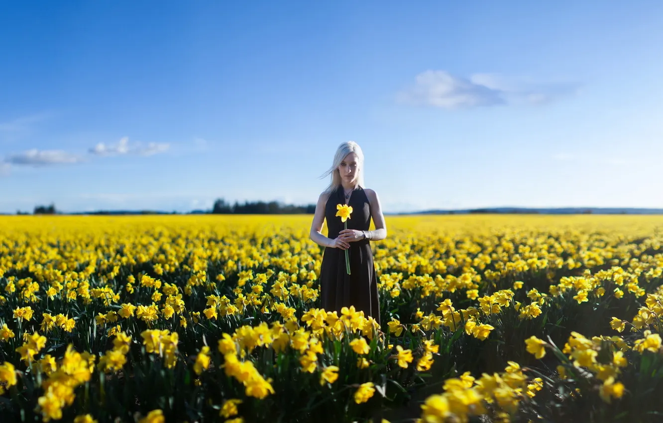 Photo wallpaper field, summer, girl, flowers, mood