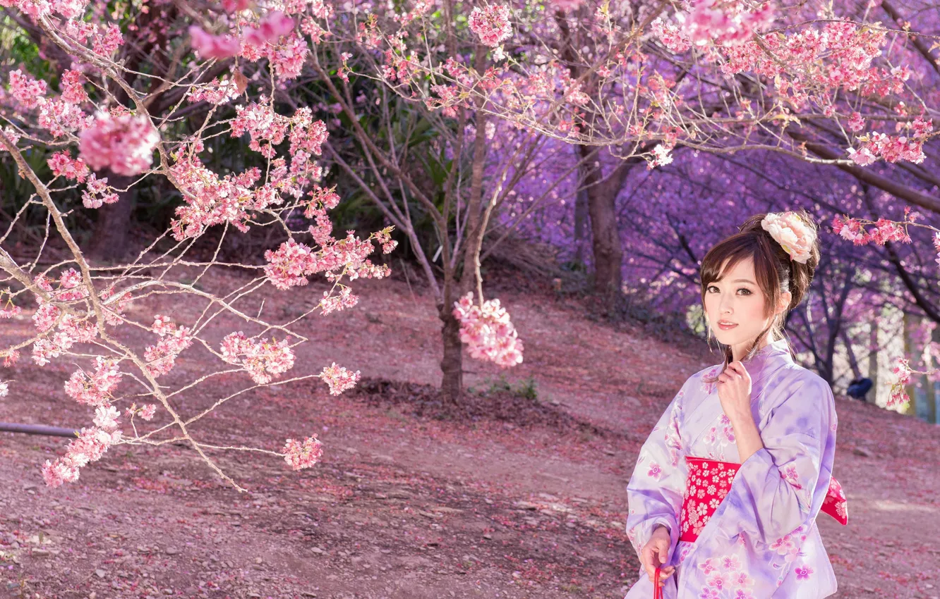 Photo wallpaper Nature, Girl, Trees, Sakura, Asian, Outfit