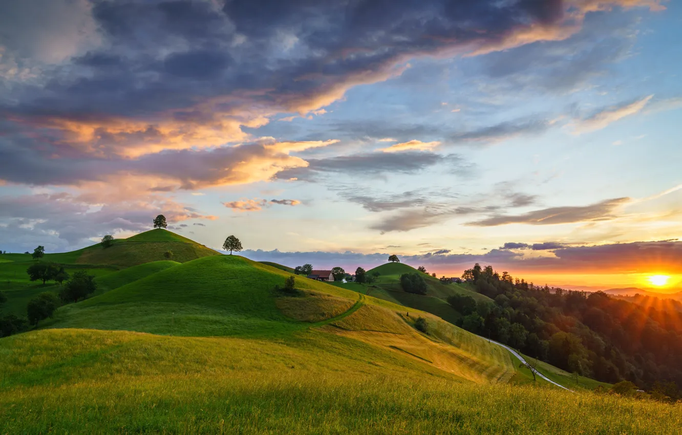 Wallpaper Greens Field Forest The Sky The Sun Clouds Trees