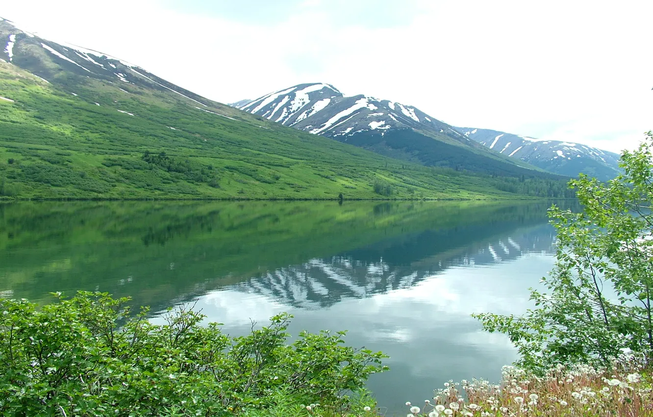 Photo wallpaper the sky, flowers, mountains, lake, Alaska, USA, Alaska, kenai