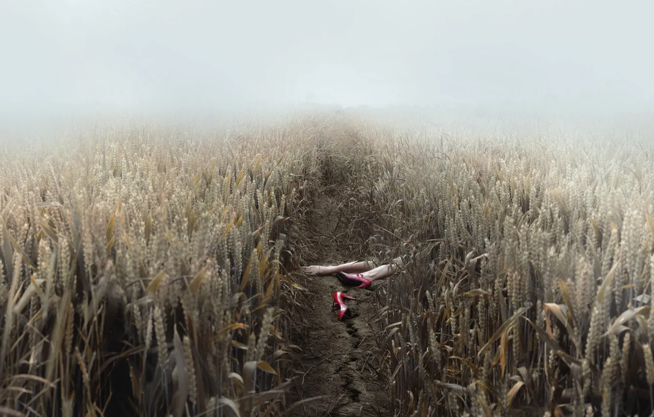 Photo wallpaper field, feet, ears