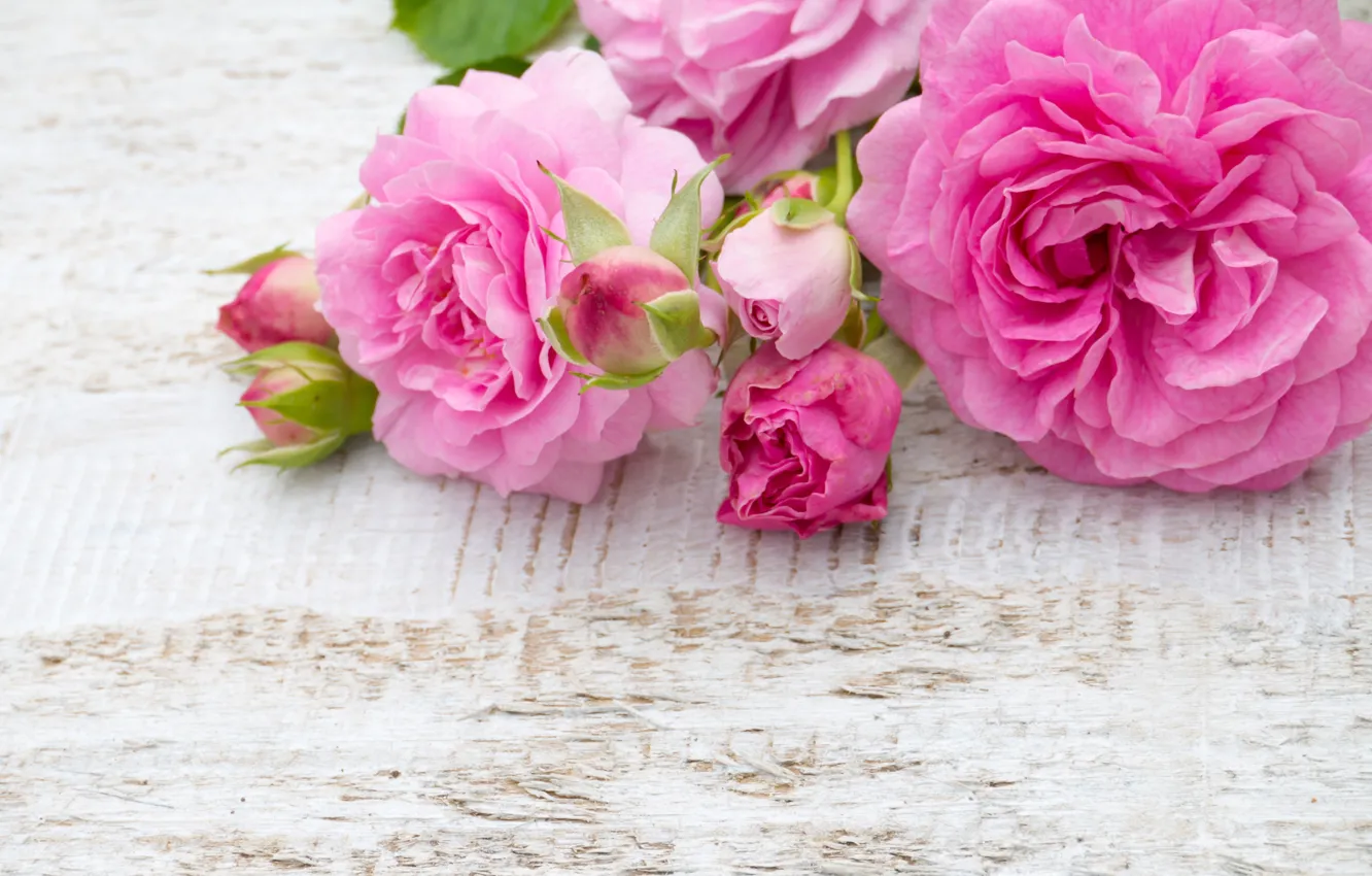 Photo wallpaper flowers, roses, bouquet, pink, buds, pink, flowers, roses