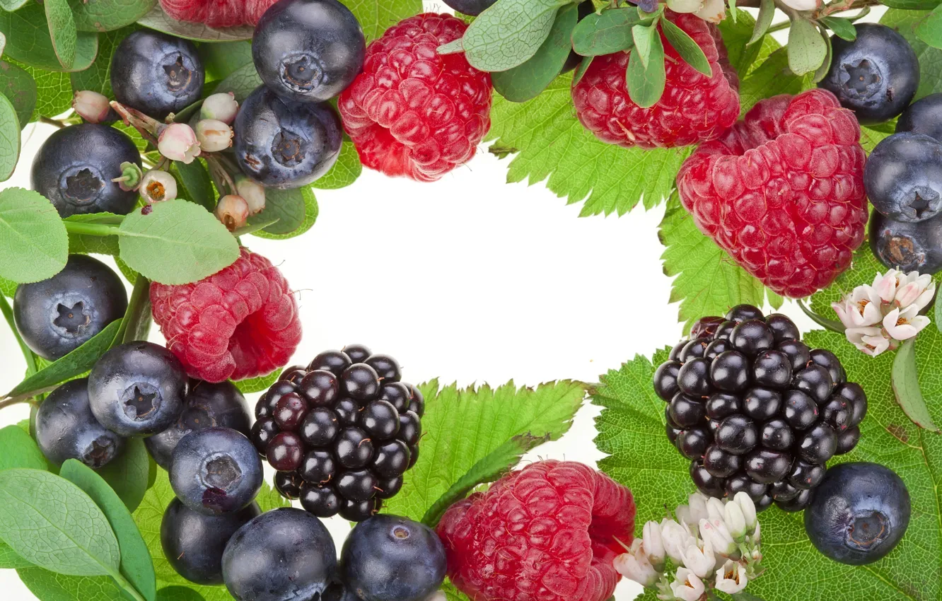 Photo wallpaper leaves, flowers, berries, raspberry, blueberries, BlackBerry