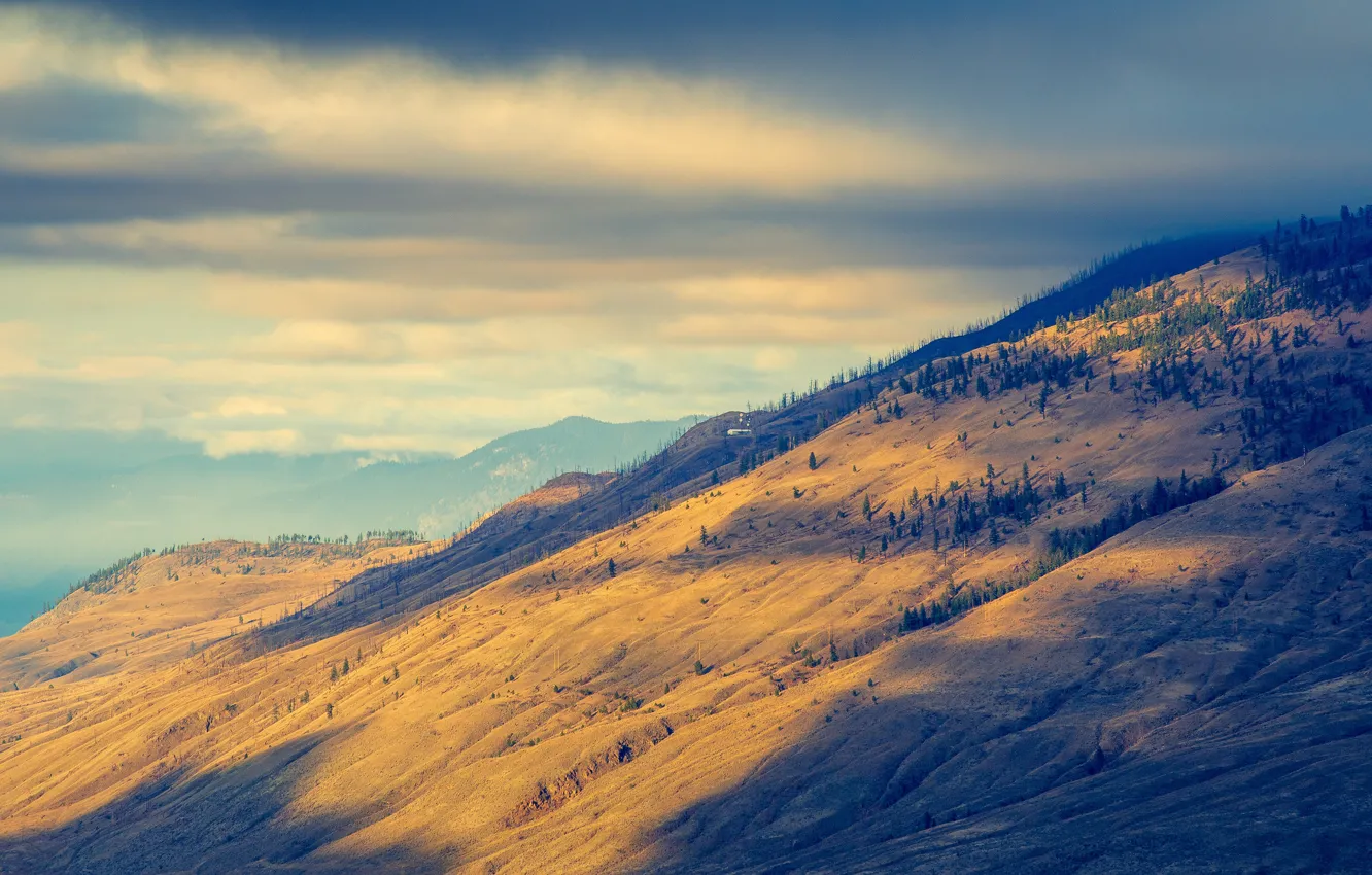 Photo wallpaper forest, the sky, clouds, light, mountains, ate, slope