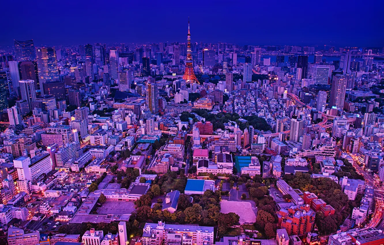 Photo wallpaper trees, lights, tower, home, the evening, Japan, Tokyo, panorama