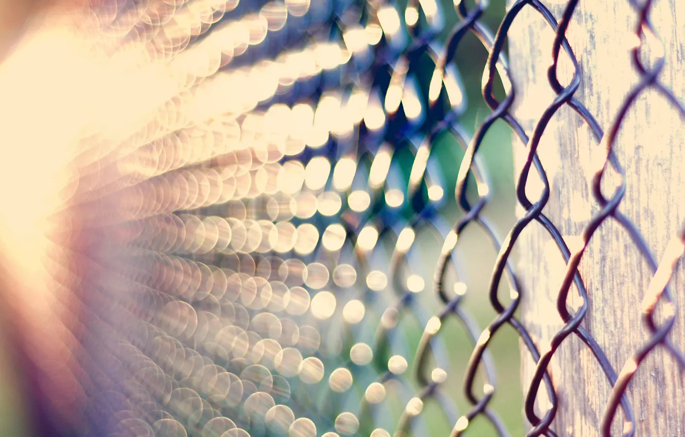 Photo wallpaper macro, light, glare, mesh, bokeh, netting