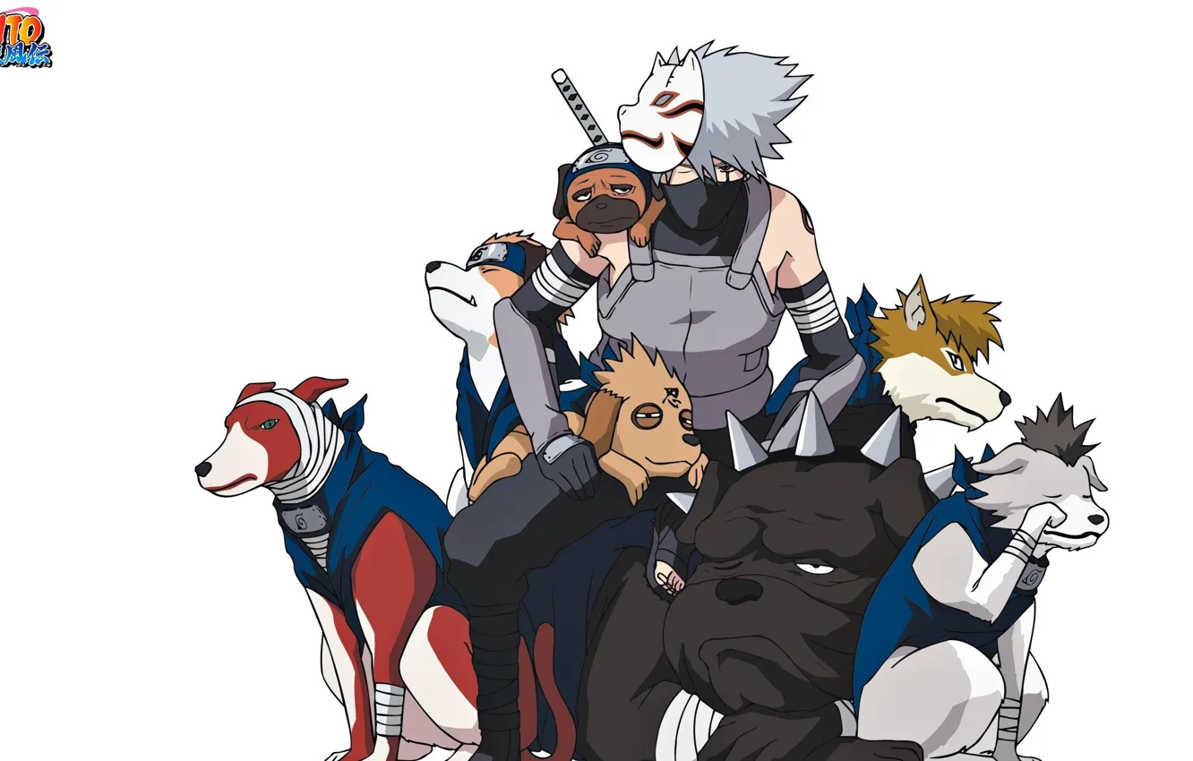Photo wallpaper game, Naruto, Hunter, anime, dog, man, tatoo, ninja