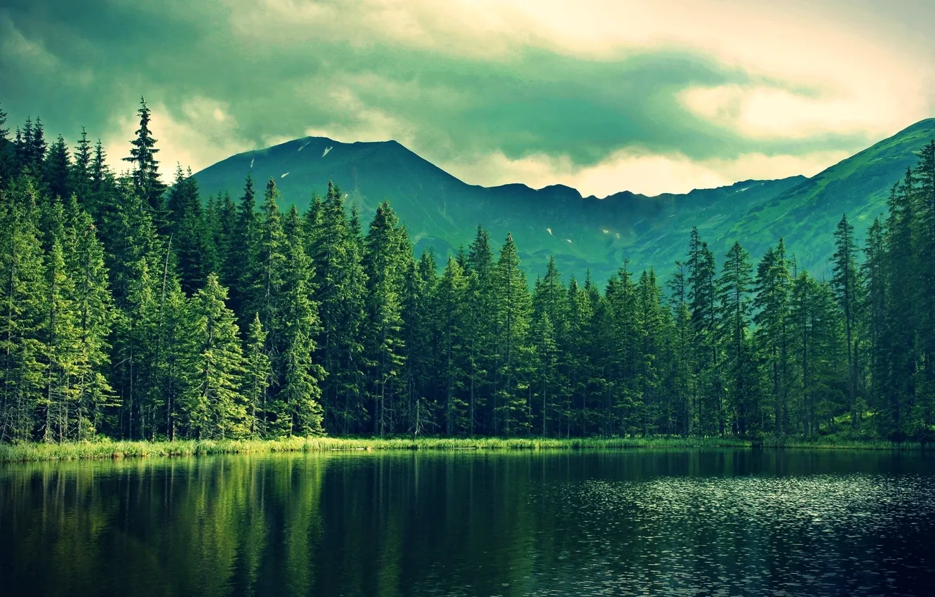 Photo wallpaper forest, mountains, nature, lake, overcast, fishing, beautiful