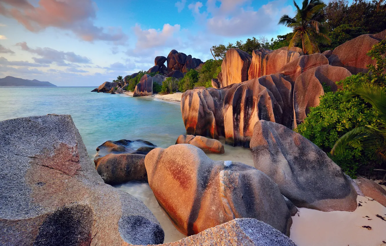 Photo wallpaper sea, beach, the sky, clouds, trees, stones, palm trees, rocks