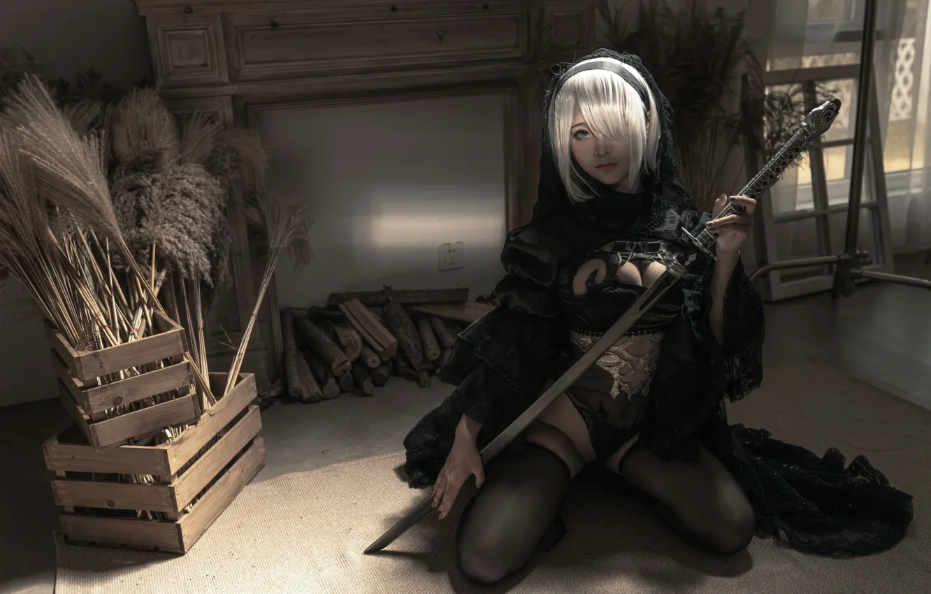 Photo wallpaper girl, style, cosplay