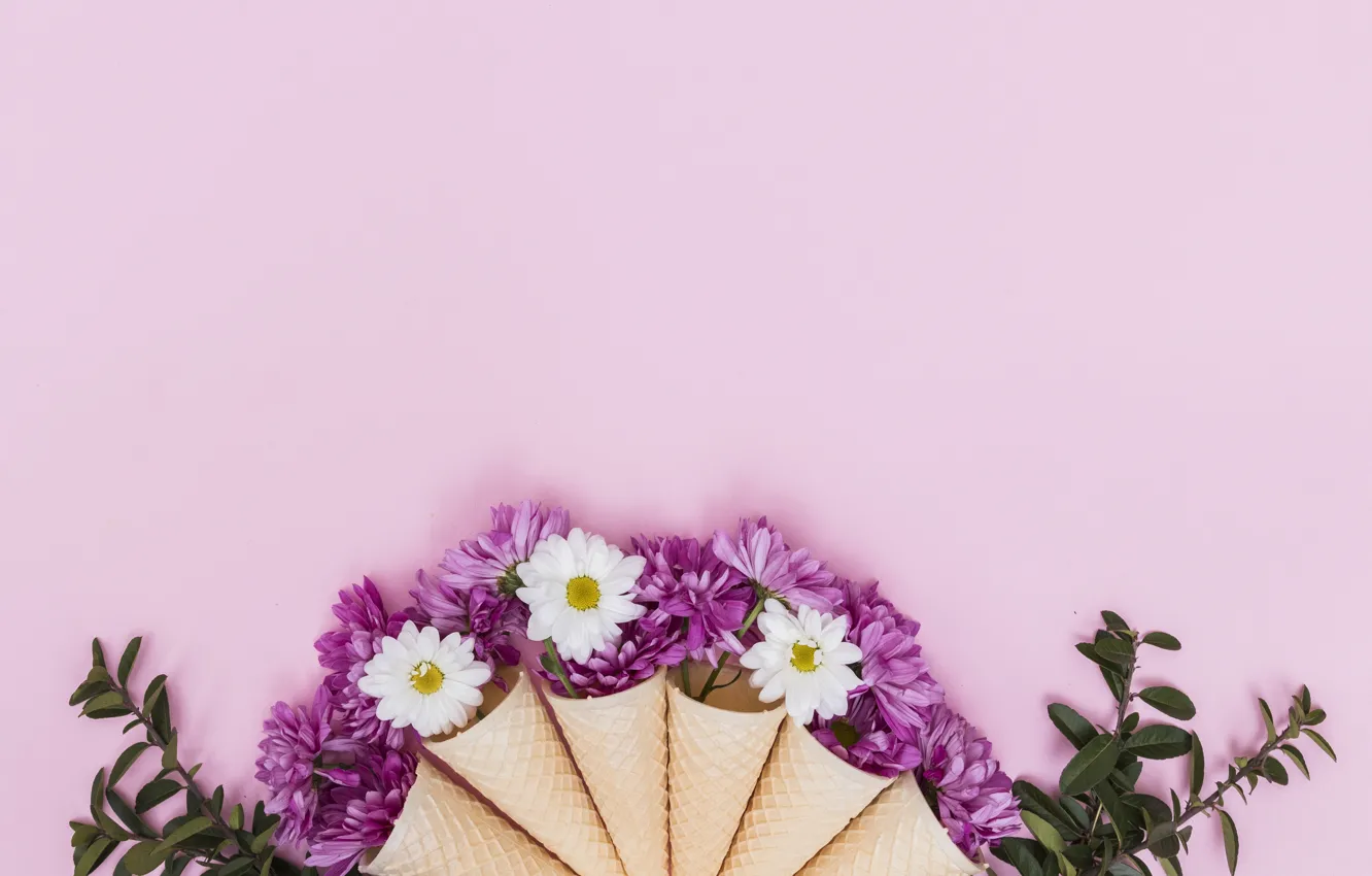Photo wallpaper flowers, waffle cone, greens, chrysanthemum