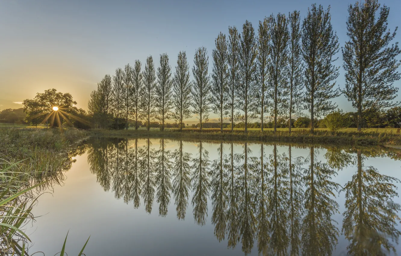 Photo wallpaper trees, sunset, pond, reflection, England, England, Northumberland, Northumberland