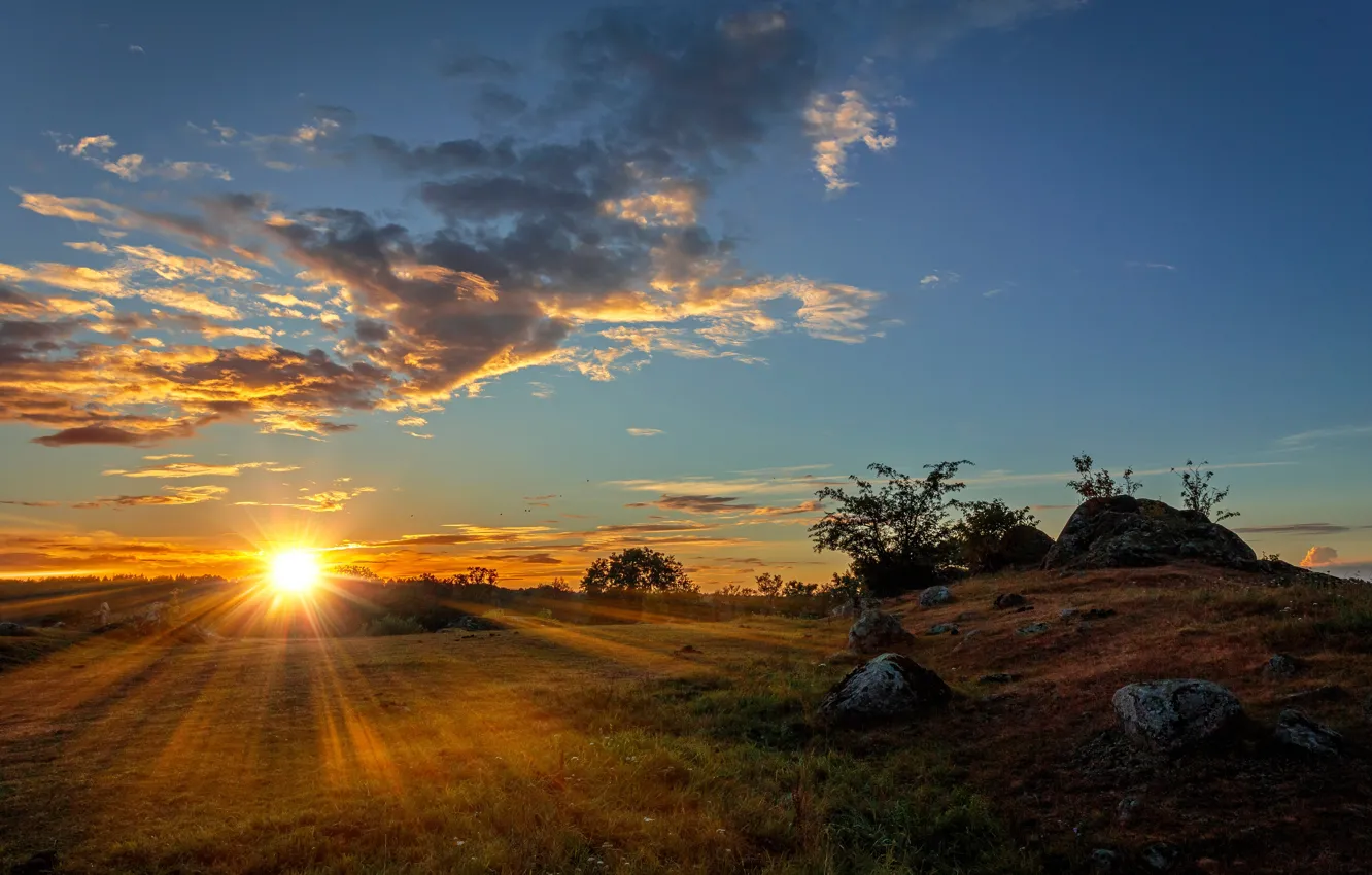 Photo wallpaper field, the sky, grass, the sun, clouds, rays, trees, stones