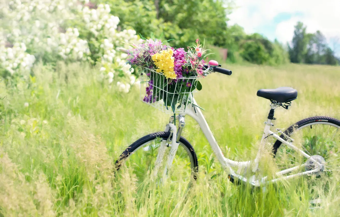 Photo wallpaper summer, grass, flowers, nature, bike, basket