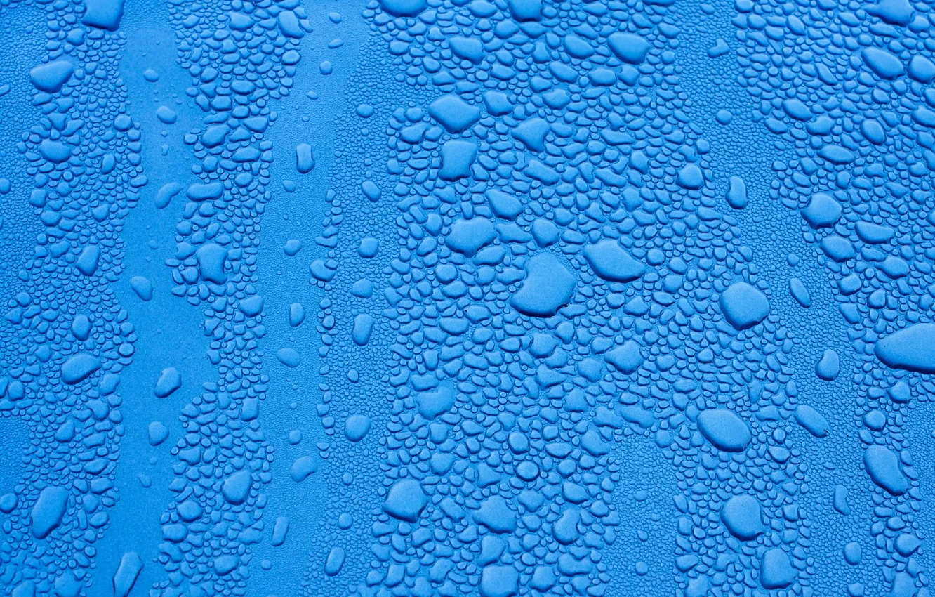 Photo wallpaper wet, drops, blue background