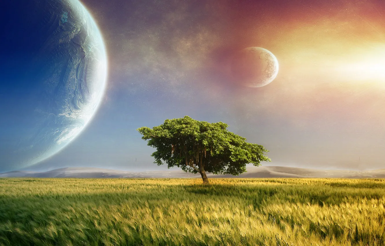 Photo wallpaper the sky, grass, clouds, landscape, sunset, fantasy, tree, planet