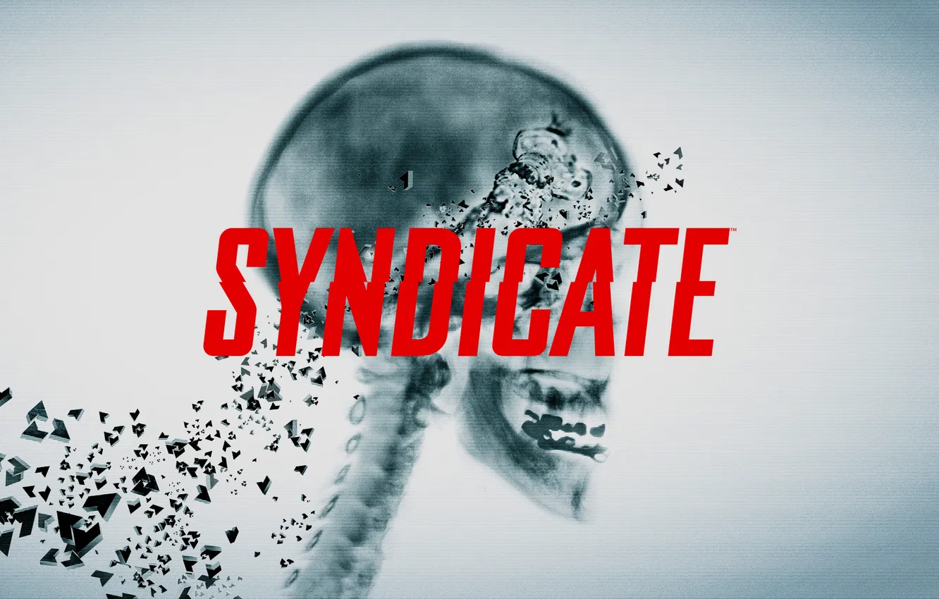 Photo wallpaper skull, logo, Syndicate, syndicate