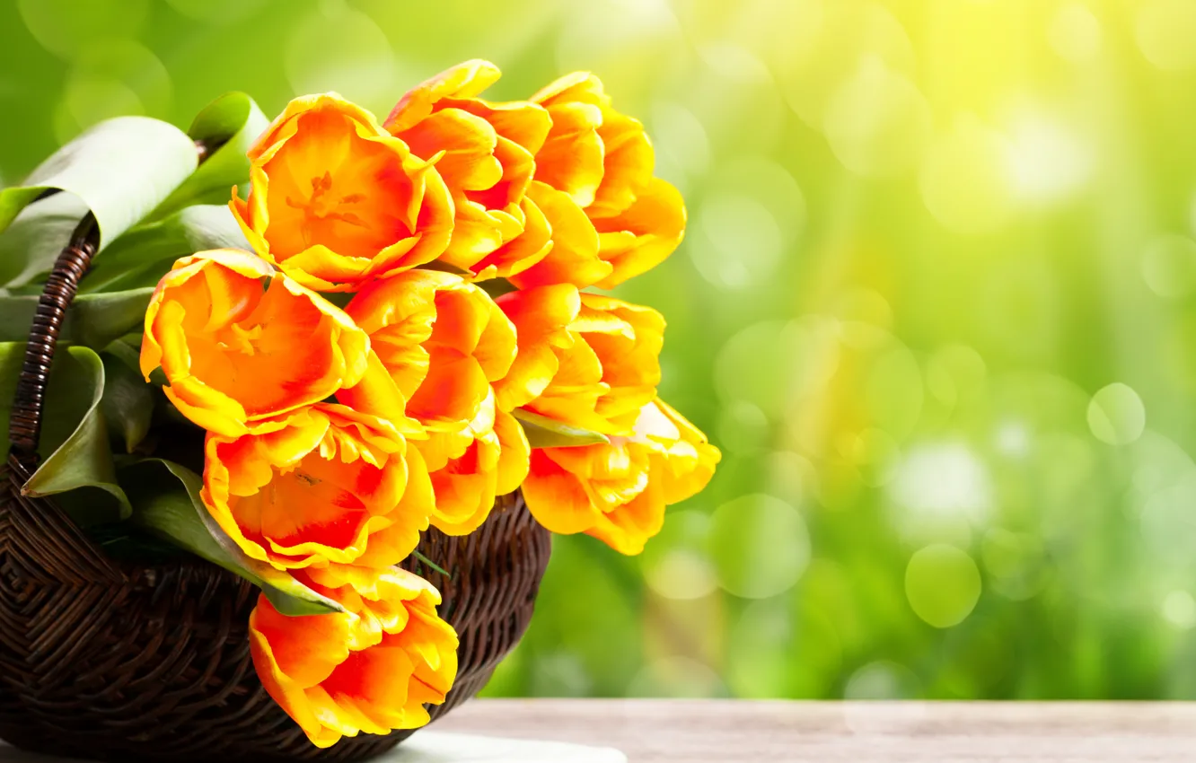 Photo wallpaper bouquet, tulips, tulips, bouquet, basket, tulip